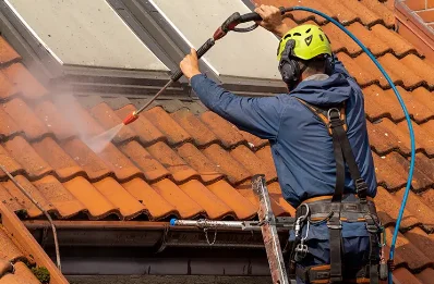 Démoussage et hydrofuge de toiture à Diancey